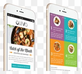 Quivo Projects - Iphone png