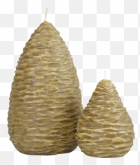 Pine Cone Pears U2014 Museum Outlets - Pond Pine Png,Pine Cone Png
