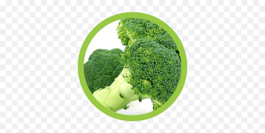 Brocoli - Iberia Fruit Fresh Sl Brokoli Pixabay Png,Brocoli Png