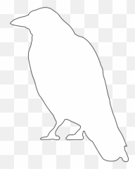 Download Small - Raven Outline Full Size PNG Image PNGkit White Silhouette Transparent