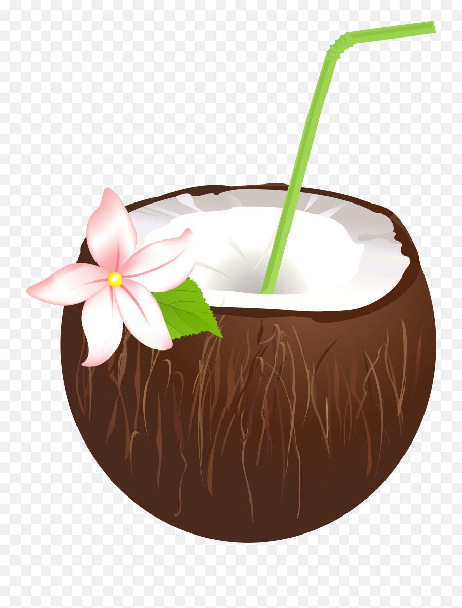 Coconut Drink Png Clip Art Image Summer Transparent Background