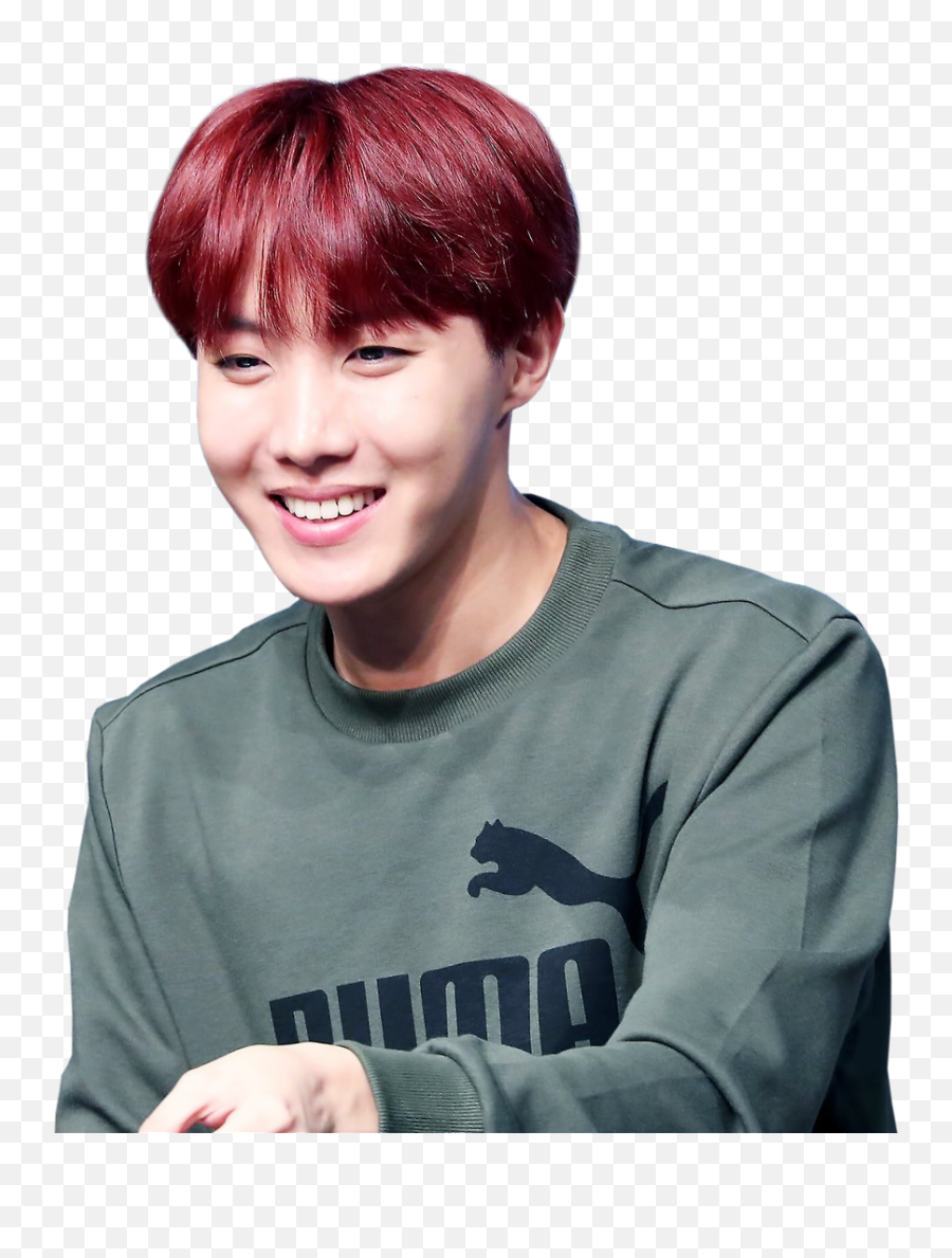 Bts Stickers Png - J Hope Bts Stickers,Jhope Transparent