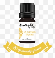 Organic Helichrysum Italicum Immortelle Essential Oil 5 Ml - Bottle png