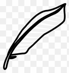 Free Indian Feather Cliparts Download Art - Bulu Ayam png