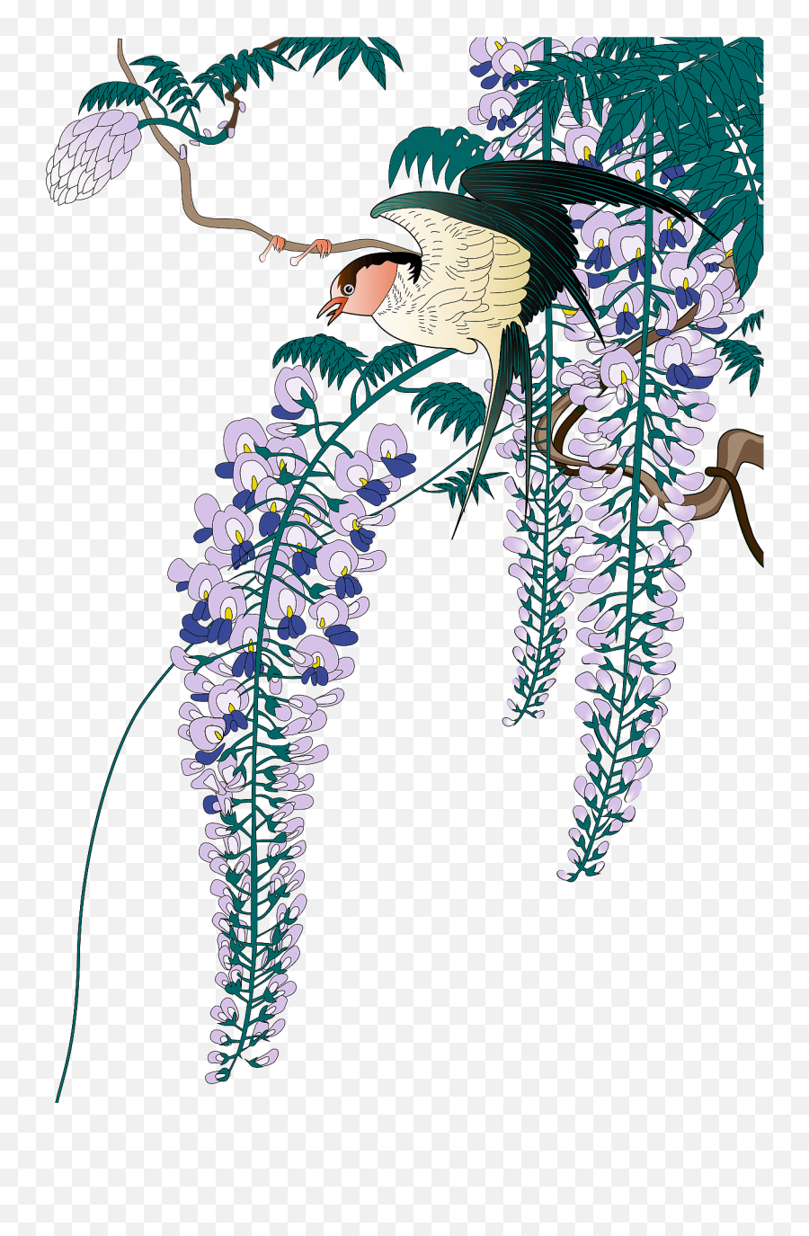 Japanese Wisteria And Bird Clipart - Sketch Png,Wisteria Png