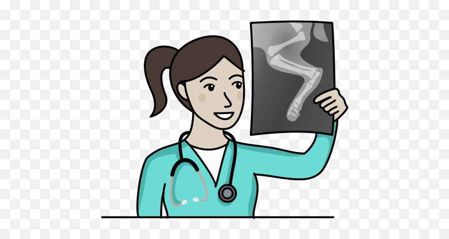 X Ray Report Icon Cartoon Clipart Full Size Clinic Png - ray Icon