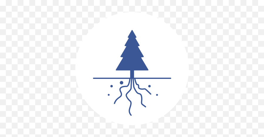 Root - Root Cause Icon Png,Cause Icon