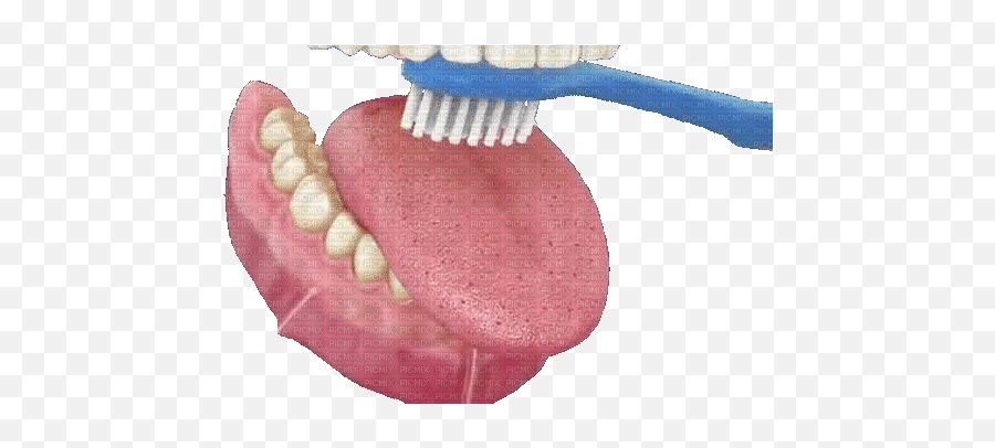 Teeth Les Dents Zähne Tongue Langue Zunge Denture Dentier - Cepillado De Lengua Gif Png,Aniami Teeth Icon