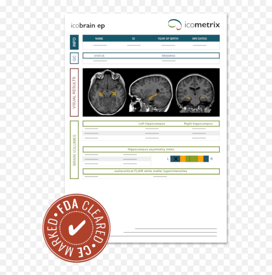 Icobrain Product Overview Icometrix - Language Png,Biomarker Icon