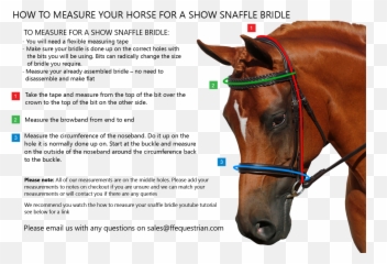 Dressage Black Straight Breastplate - Halter png