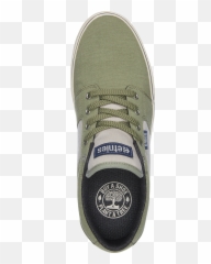 Barge Preserve Etniescom - Buy Shoe Plant Tree png