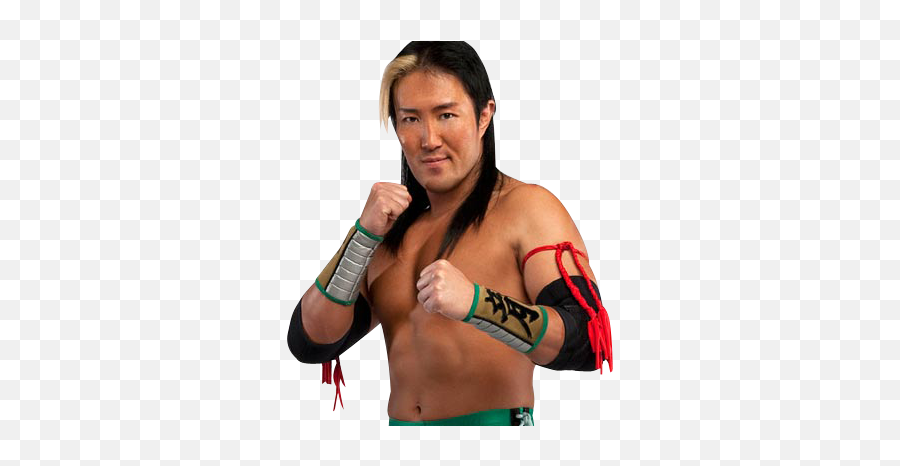 Sohodesign Yoshi Tatsu Png - Wwe 12 Yoshi Tatsu,Yoshi Png