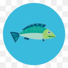 Stats - Free The Ocean Fish png