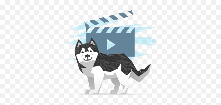 Unlimited Video Editing Requests And Revisions - Video Husky Icono De Video Naranja Png,Husky Icon Transparent