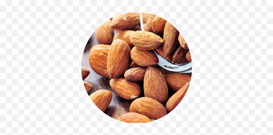 Almond Png - Almond Natural,Almonds Png