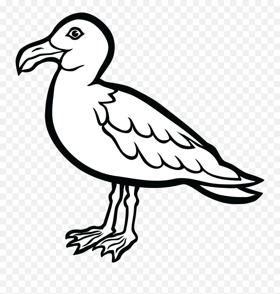 Clip Art Water Bird Clipart Clipground Lemonize - Seagull Seagull Black And White Png,Seagull Png