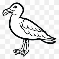 Clip Art Water Bird Clipart Clipground Lemonize - Seagull Seagull Black And White Png,Seagull Png