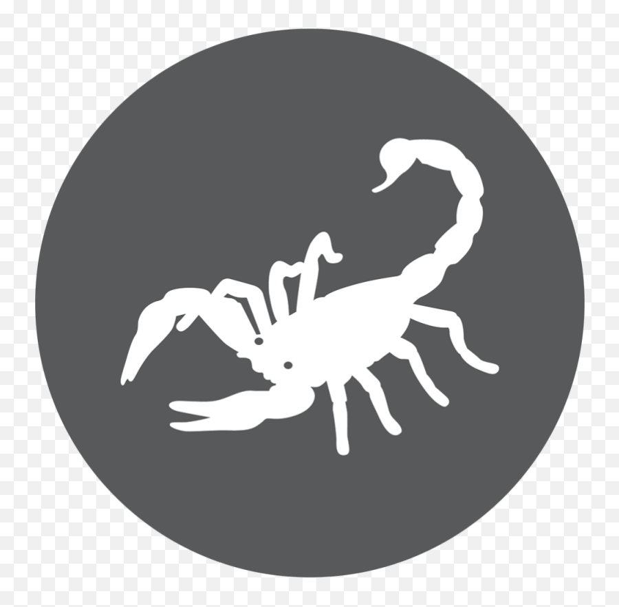 Scorpion Brave And - Lua Cheia Em Escorpiao Png,Scorpio Png