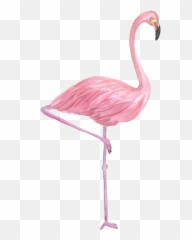 Flamingo Drawing Watercolor Painting - Transparent Background Png