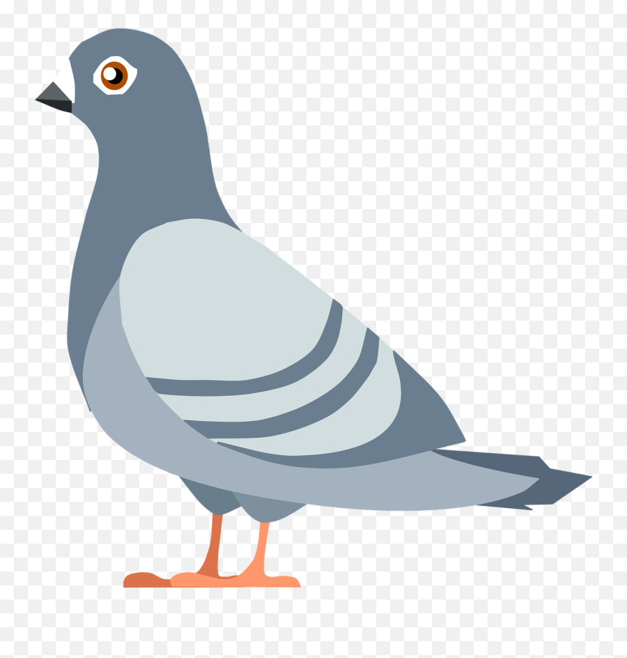 Pigeon Bird Flying - Free Vector Graphic On Pixabay Álvaro Obregon Garden Png,Pigeons Png