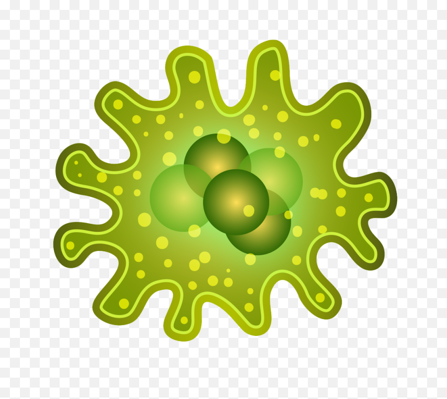 Bacteria Png - Transparent Transparent Background Bacteria Clipart,Bacteria Transparent Background