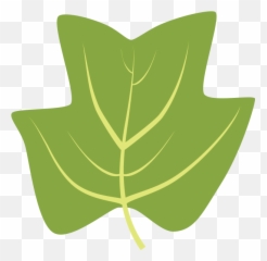 Tulip Tree Png - Tuliptree Maple Leaf 1949436 Vippng Tree Clipart
