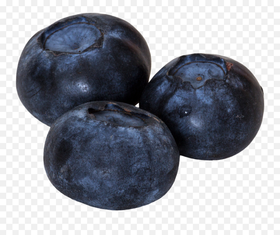 Blueberries Png Image - Portable Network Graphics,Blueberries Png