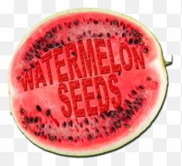 Download Free Png Watermelon Hd Photo - Dlpngcom Watermelon,Watermelon Png