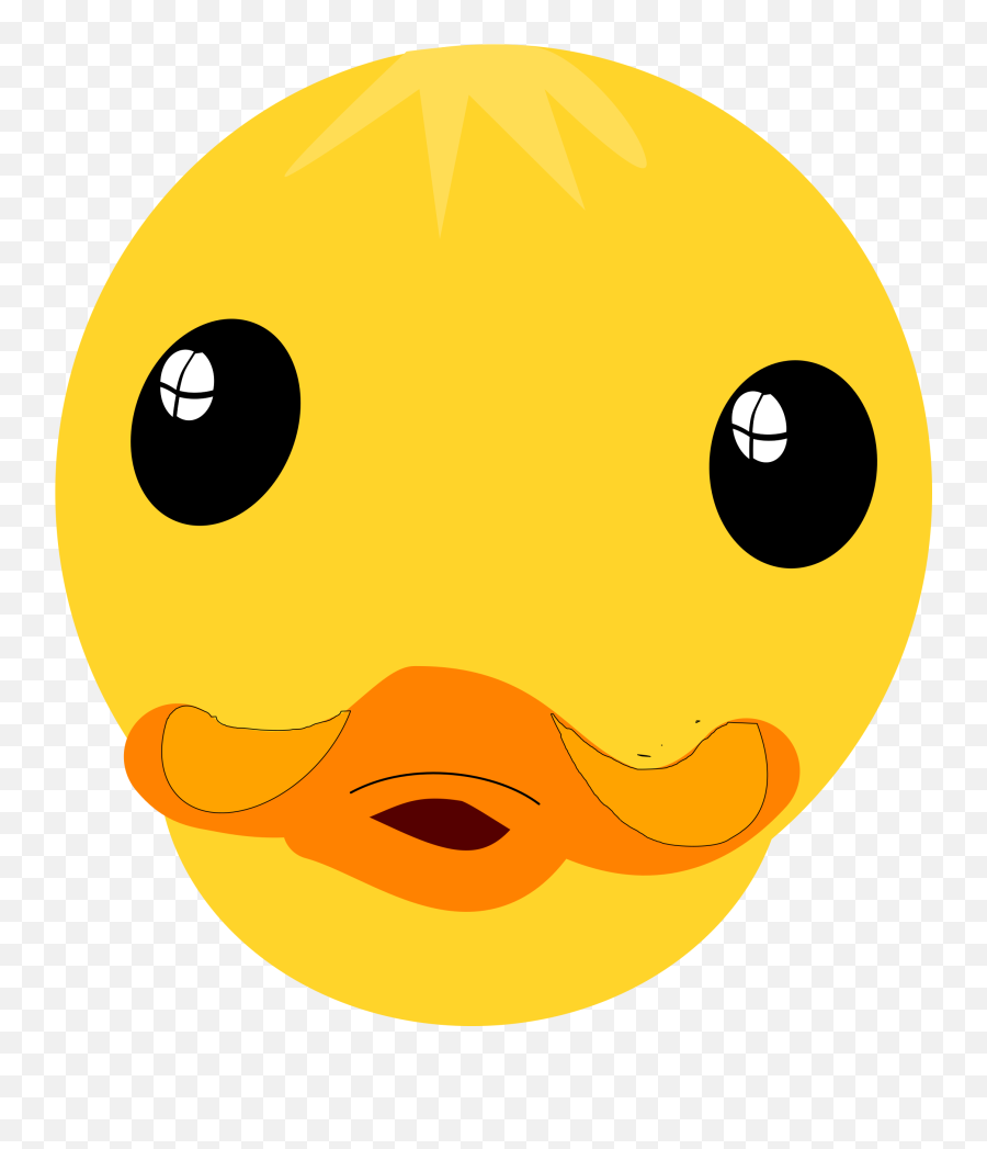 Download Drake Clipart - Duck Face Png,Drake Face Png