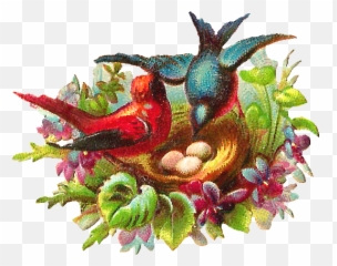 Egg Clipart Three Bird - Bird Nest Full Size Png Download Birds,Bird Nest Png