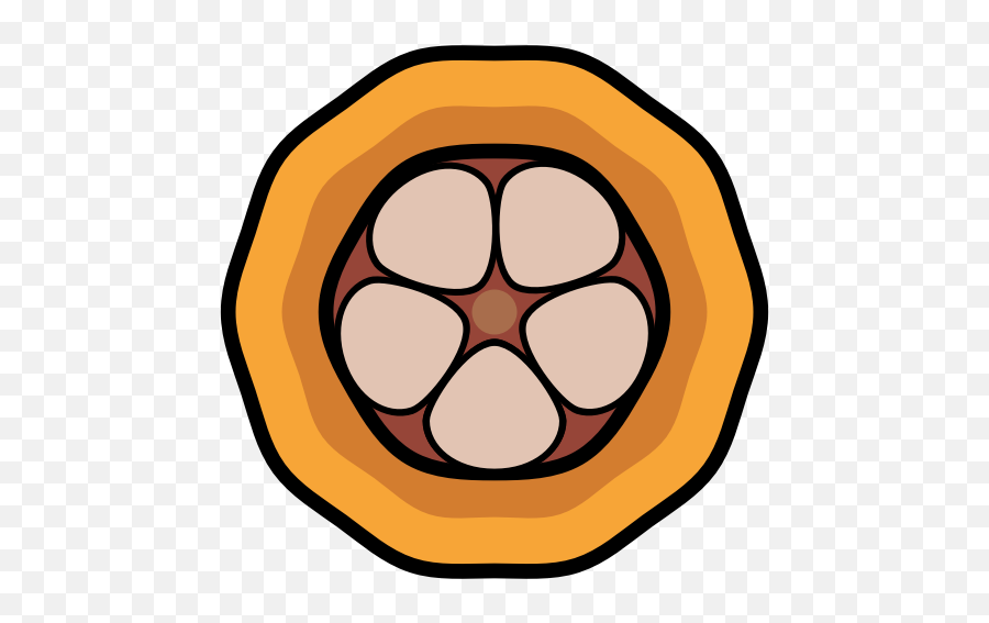 Cacao Cacaos Cacau Fruit Icon - Clip Art Png,Cacao Png