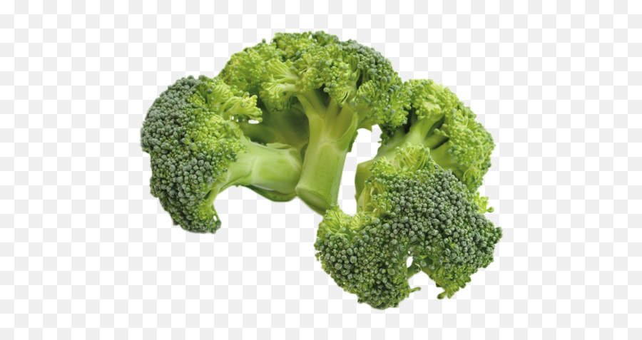 Download Broccoli - Broccoli White Background,Brocoli Png