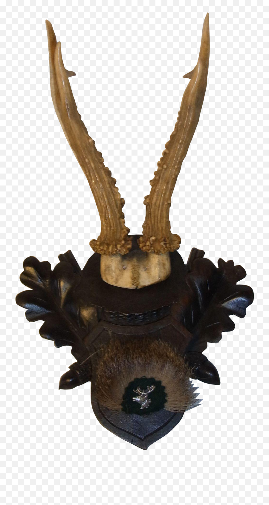 Deer Trophy Hunting Horn - Antlers Png Download 18271827 Antler,Deer Antler Png