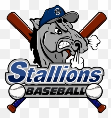 Stallions Baseball Club News - Stallions Baseball Logo Png,Baseball Logo Png