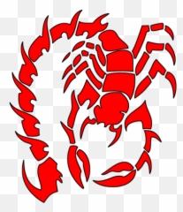 Download Tribal Skull Tattoos Free Png Transparent Image And - Stencil Scorpion,Skull Tattoo Png