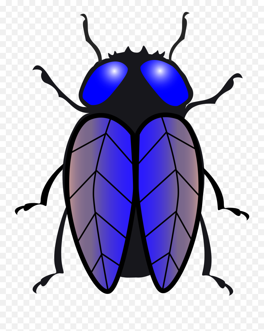 Fly Clipart Drosophila Melanogaster 611707 3246648 - Lalat Black And White Ladybug Png,Fly Png