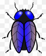 Fly Clipart Drosophila Melanogaster 611707 3246648 - Lalat Black And White Ladybug Png,Fly Png