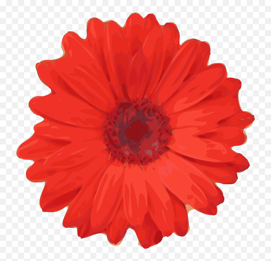 Red Flower Pedals Svg Vector Clip Art - Red Flower Clip Art Png,Red Flower Transparent
