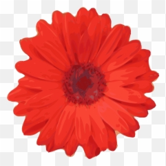 Red Flower Pedals Svg Vector Clip Art - Art png