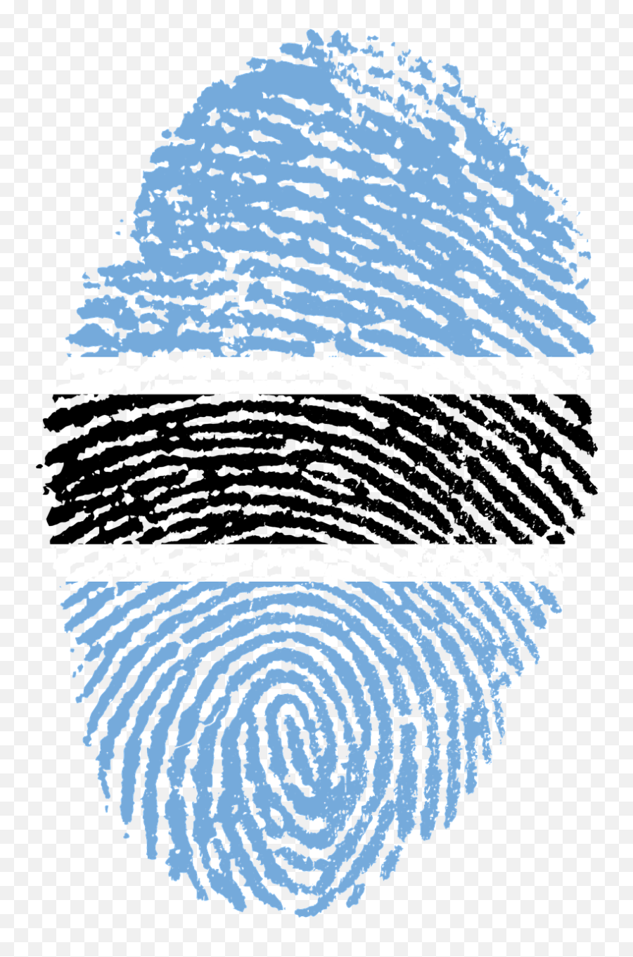 Botswana Flag Fingerprint Transparent - Challenges Of Digital India Png,Fingerprint Transparent