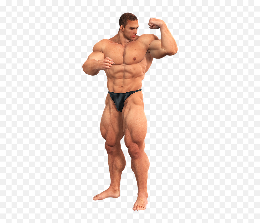 Man Muscles Fitness Studio - Man Muscles Png,Muscle Man Png