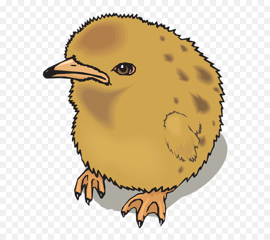 Chick Baby Chicken - Clip Art Png,Baby Chick Png