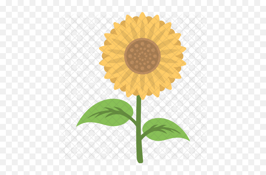 Sunflower Icon - Fresh Png,Sunflowers Png