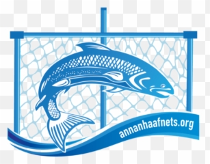 01 Png Salmon Transparent