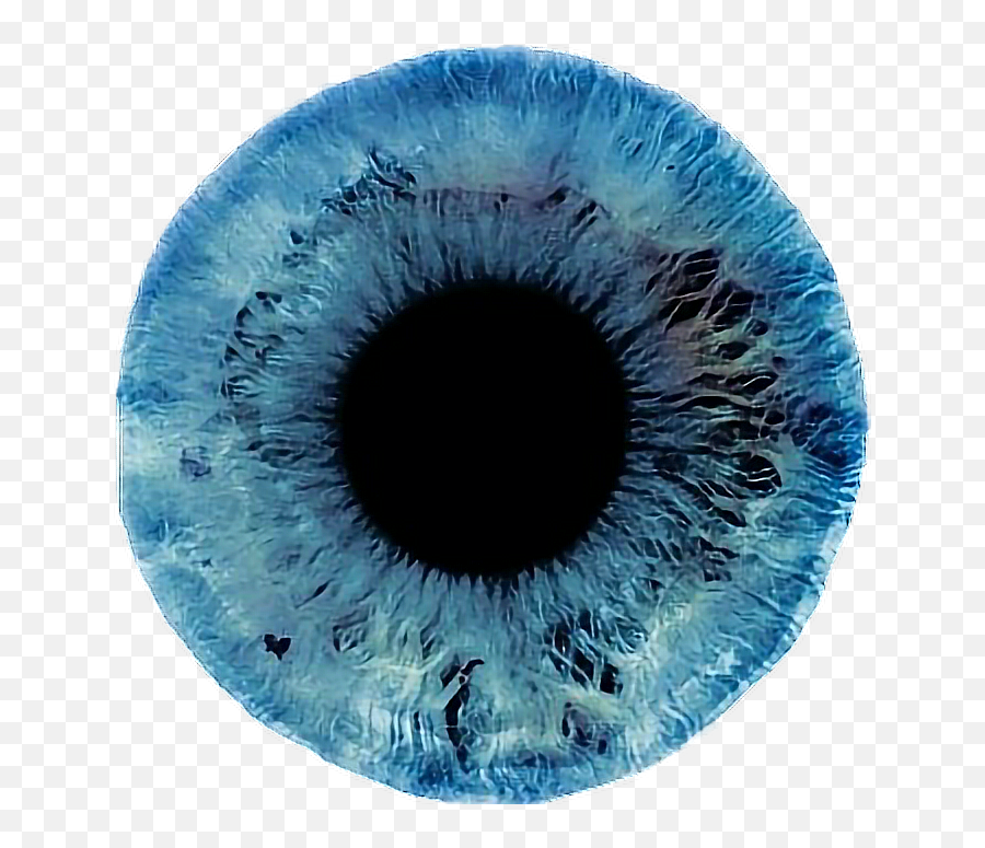 Download Hd Iris Eye Eyes Blueeyeres - Light Blue Eye Png,Iris Png
