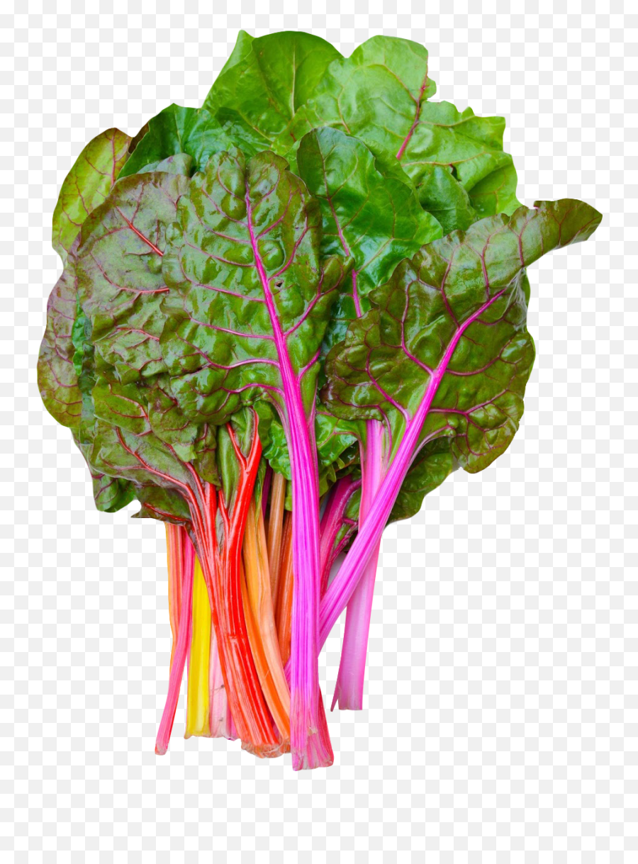 Download Rainbow Swiss Chard Png Image - Swiss Chard Png,Vegetables Transparent Background