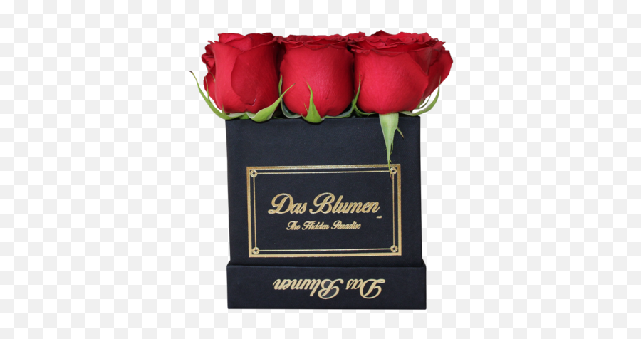 Oso De Rosas Rojas U2013 Das Blumen México - Hobbiton Png,Rosas Rojas Png