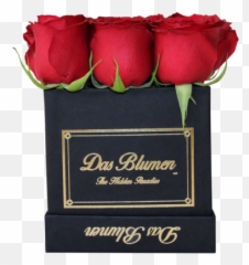 Oso De Rosas Rojas U2013 Das Blumen México - Hobbiton Png,Rosas Rojas Png