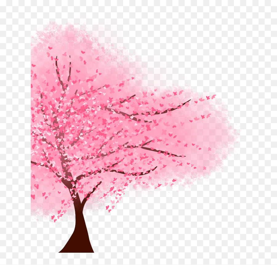 Ky87 V24 6471 Kbyte Cherry Blossoms - Anime Sakura Tree Png,Cherry Blossoms Transparent