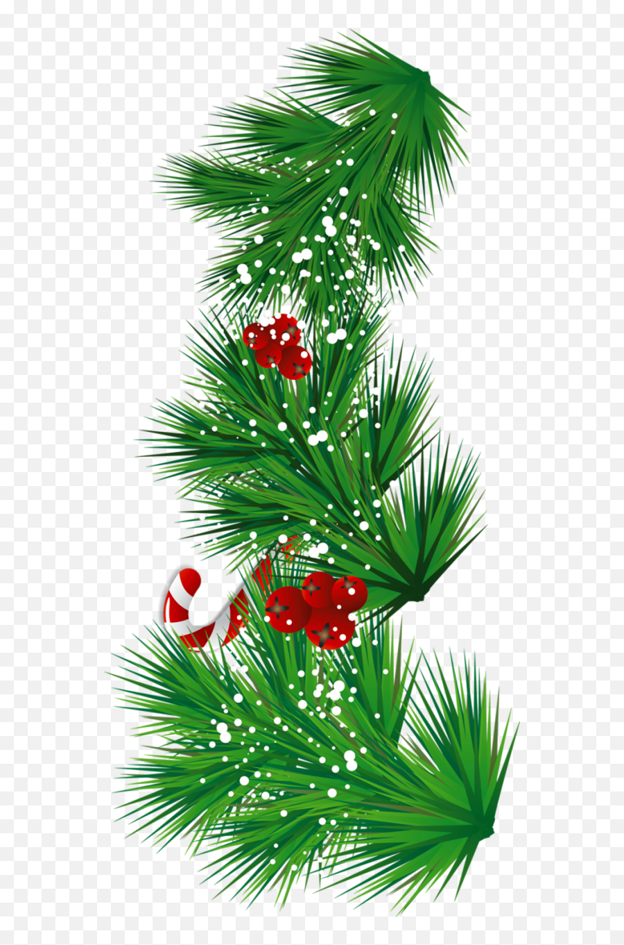 Mistletoe Clipart Christmas Tree - Hierva Navideña Png,Mistle Toe Png